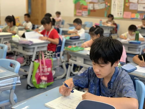 告別無聊暑假，精彩每一天 青島中小學(xué)生暑期托管服務(wù)紀(jì)實(shí)