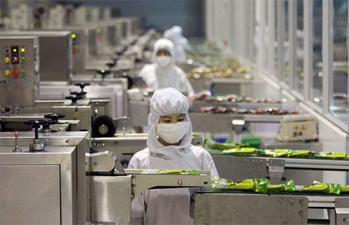 食品廠供應(yīng)蒸汽的鍋爐選擇與燃?xì)庹羝仩t廠家推薦